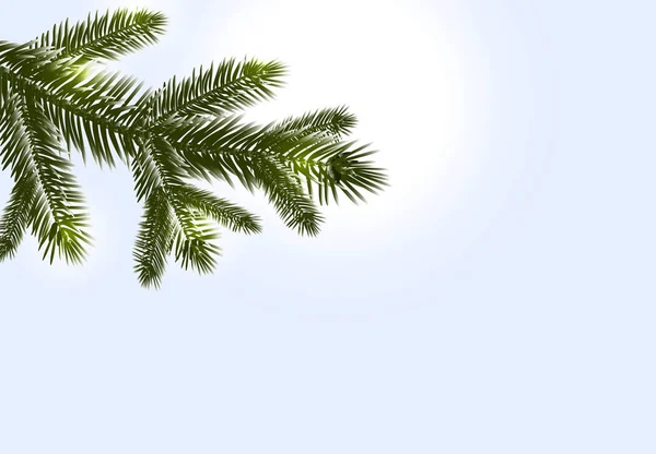 Weihnachten, Neujahr. realistische Zweige von Tanne oder Kiefer in Großaufnahme. Morse Wintermorgen. Illustration — Stockvektor