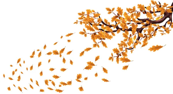 Żółty jesienny oddział wielkim Dębem z żołędziami. Latać nad liści i wir na wietrze. ilustracja — Wektor stockowy