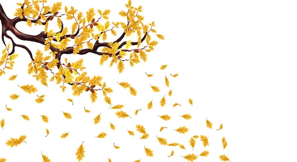 Branche jaune d'automne d'un chêne aux glands. Feuilles volantes. illustration — Image vectorielle