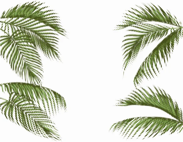 Olika i formen tropiska mörka gröna palmblad. Stiliserade prickar design. Isolerade på vit bakgrund. illustration — Stock vektor