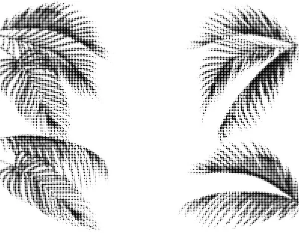 Verschillende tropische palmbladeren. Gestileerde Dots ontwerp in zwart-wit uitvoering. Geïsoleerd op een witte achtergrond. illustratie — Stockvector