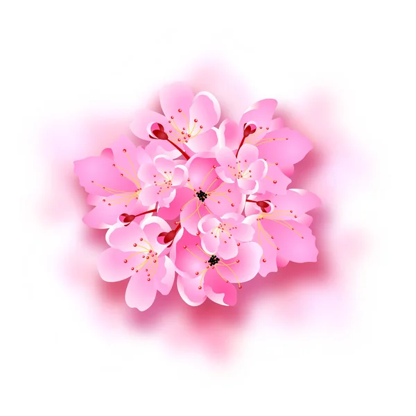 Flores decorativas de sakura, ramo, elementos de diseño con sombra. Se puede utilizar para tarjetas, invitaciones, carteles. ilustración — Vector de stock