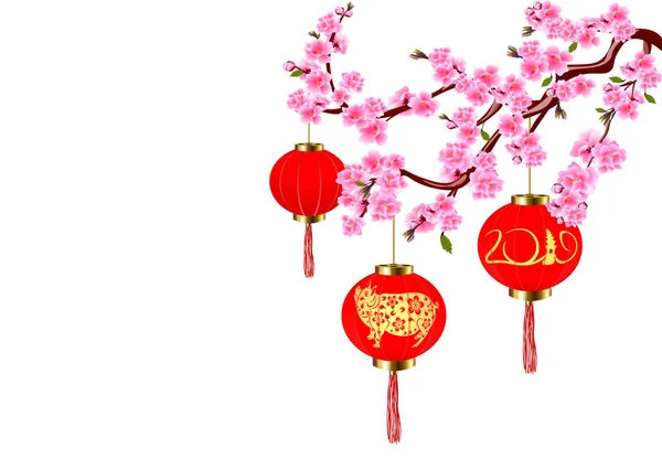 Chinesisches Neujahr. Sakura und rote Laternen mit Bildern eines Schweins. Kirschblüten mit Knospen und Blättern am Zweig. Illustration — Stockvektor