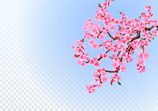 さくら。光の紫色の花、葉と桜のつぼみを持つ緑豊かな枝。デフォーカス効果。透明な背景。図 — ストックベクタ