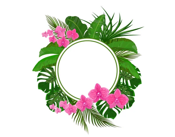 Beállítása. Zöld trópusi levelei banán, kókusz, Monstera és Ogawa. Pink orchidea. Egy kör hely a hirdetések, reklám. Illusztráció — Stock Vector