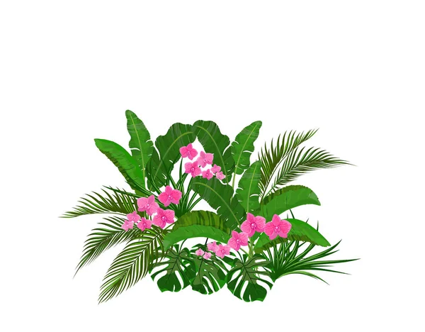 Set, boeket. Groene tropische bladeren van banaan, kokosnoot, Monstera en Ogawa. Roze orchidee. Illustratie — Stockvector