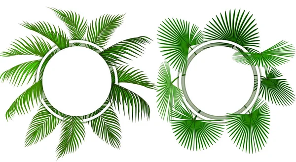 Two kinds of green tropical palm leaves. Place for advertising, announcements. illustration — Stock Vector