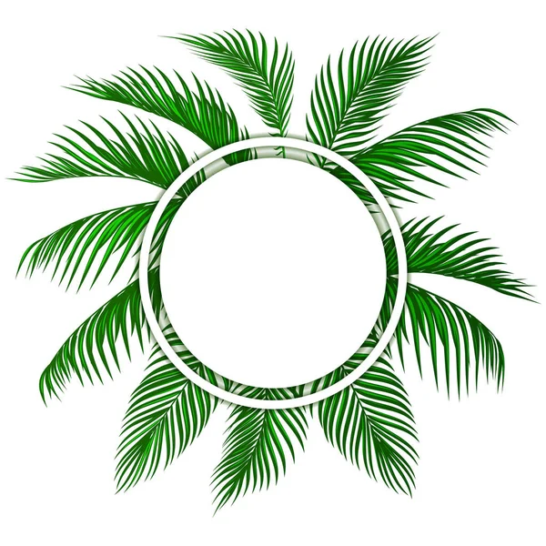 緑の熱帯ヤシの葉。広告、お知らせのための場所。図 — ストックベクタ