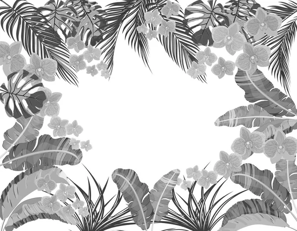 Feuilles tropicales de banane, noix de coco, monstère et ogawa, orchidée rose en version noir et blanc. Place pour la publicité, la publicité. illustration — Image vectorielle