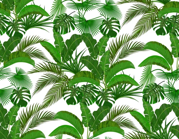Foglie tropicali verdi di banana, cocco, monstera e ogawa. Illustrazione senza cuciture — Vettoriale Stock