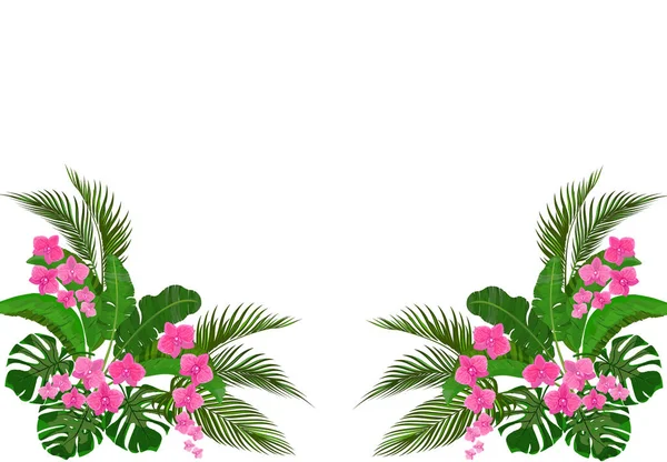 Listos, ramo. Dibujo de esquina. Hojas verdes tropicales de plátano, coco, monstera y ogawa. Orquídea rosa. ilustración — Vector de stock