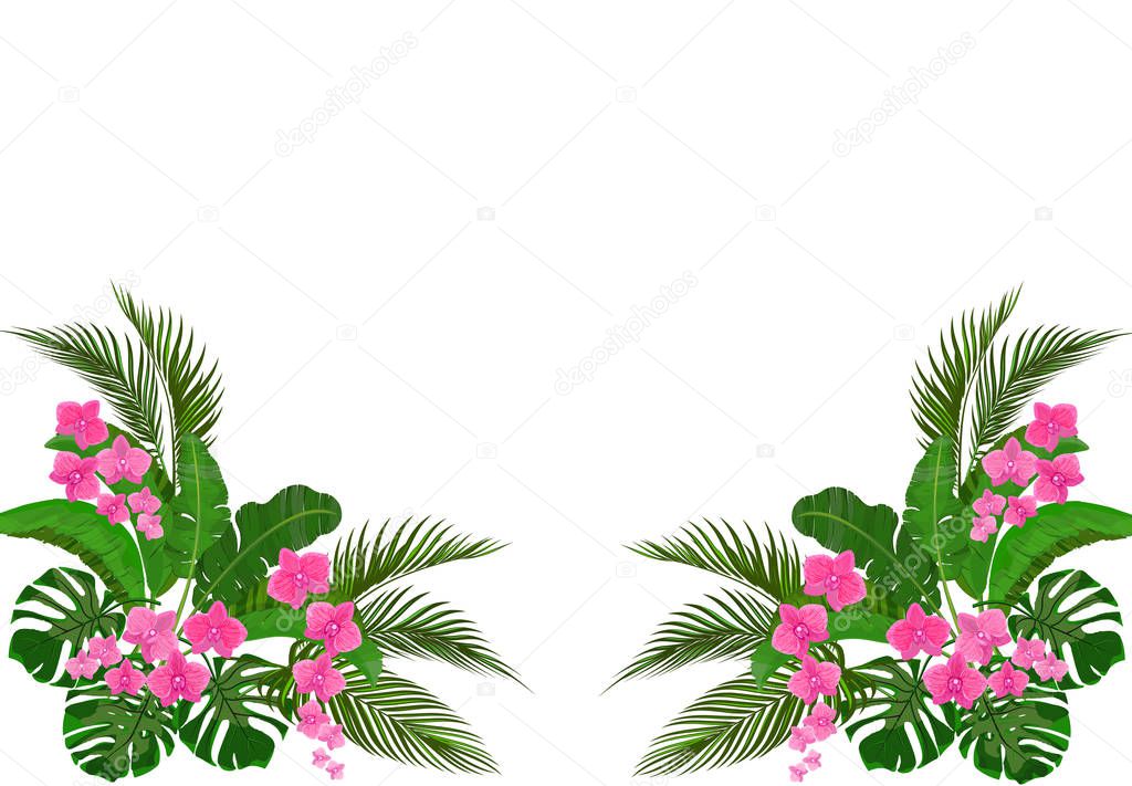 Set, bouquet. Corner drawing. Green tropical leaves of banana, coconut, monstera and ogawa. Pink Orchid. illustration