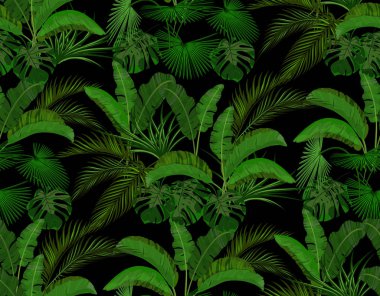 Tropikal palmiye ağaçları yeşil yaprakları. Monstera, Agave, muz. Siyah arka planda Dikişsiz. Illüstrasyon