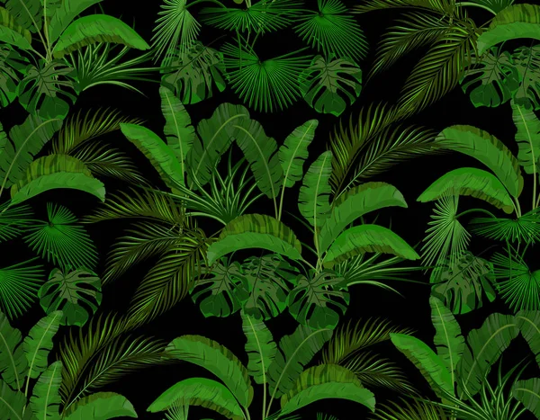 Hojas verdes de palmeras tropicales. Monstera, agave, banana. Sin costuras en el fondo negro. ilustración — Vector de stock