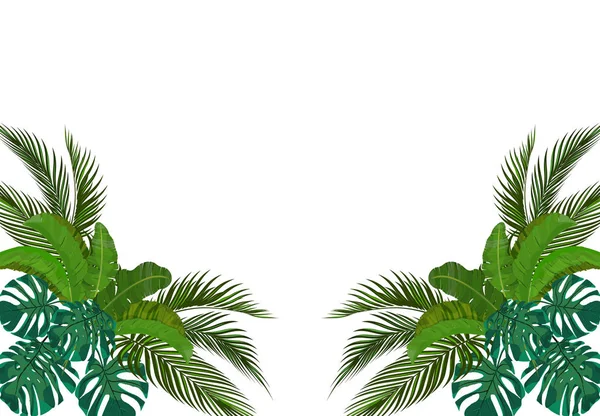 The green leaves of the tropical palm trees are symmetrical on the sides. Monstera, agave, banana. illustration — Stock Vector