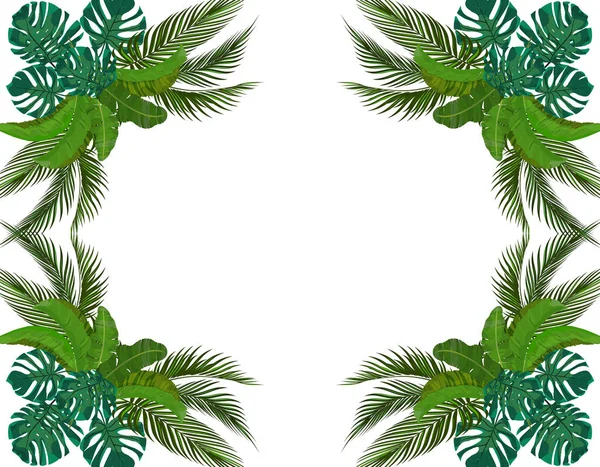 Tropikal palmiye ağaçlarının yeşil yaprakları simetrik olarak. Buket. Monstera, Agave, muz. Illüstrasyon — Stok Vektör