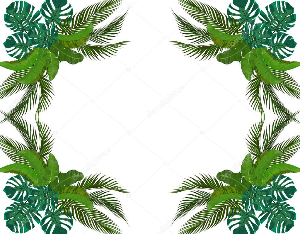 Green Leaves of tropical palm trees symmetrically. Bouquets. Monstera, agave, banana. illustration