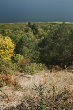 Sonbahar ormanın üstten görünüm