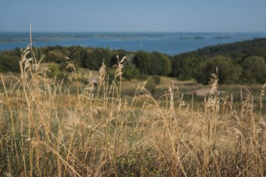 Vityachev Ukrayna en eski köylerinden biridir