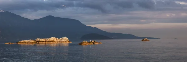 Panoramablick Auf Felsige Inseln Mit Vögeln Während Eines Eindrucksvollen Und — Stockfoto