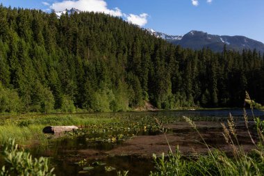 Güzel Kanada doğa manzaralı bir güneşli gün boyunca. Pemberton, British Columbia, Kanada bir mil gölde alınan.