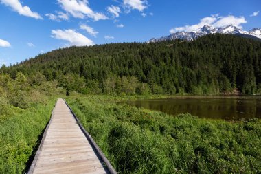 Güneşli bir gün boyunca parkta ahşap yolu. Pemberton, British Columbia, Kanada bir mil gölde alınan.