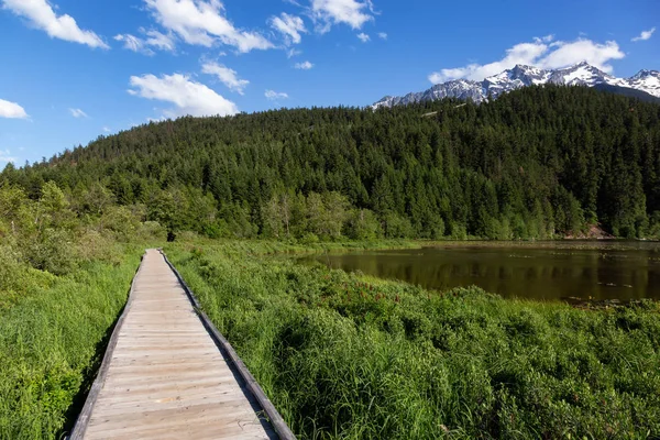 Drewniana Ścieżka Parku Słoneczne Dni Podjęte Jeden Metrów Jezioro Pemberton — Zdjęcie stockowe