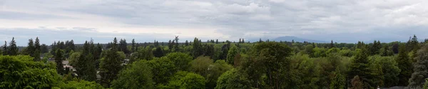 Vue Panoramique Aérienne Dessus Limite Des Arbres Quartier Calme Vancouver — Photo