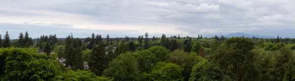 Vista Panorâmica Aérea Acima Linha Árvore Bairro Tranquilo Vancouver City — Fotografia de Stock