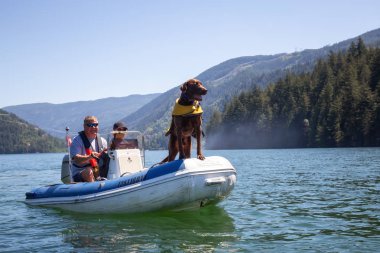 Harrison nehir, British Columbia, Kanada - 24 Haziran 2018: Bir köpeğin üstüne bir Danışma insanlarla.