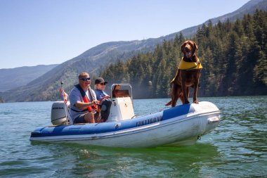 Harrison nehir, British Columbia, Kanada - 24 Haziran 2018: Bir köpeğin üstüne bir Danışma insanlarla.