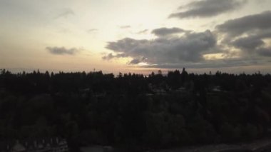 Ağaç üzerinde harika gün batımı tops, British Columbia, Kanada