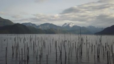 Hava dron manzaralı güzel Kanada doğa sırasında canlı bir sabah. Çıta Gölü, doğusunda Vancouver, Bc, Kanada çekilmiş.