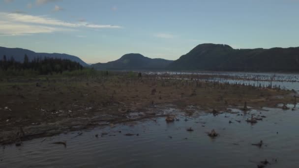 空中无人机景观景色美丽的加拿大自然在一个充满活力的早晨 在加拿大不列颠哥伦比亚省温哥华以东的壁湖中拍摄 — 图库视频影像
