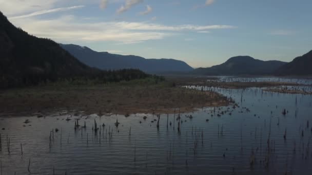 Luchtfoto Drone Landschapsmening Van Prachtige Canadese Natuur Tijdens Een Levendige — Stockvideo