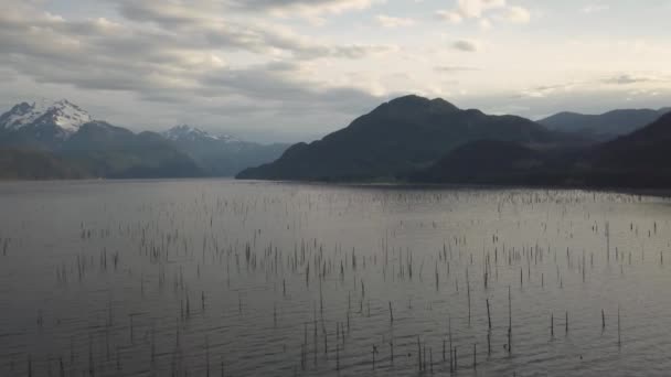 空中ドローン活気のある午前中に美しいカナダの自然の風景を見る バンクーバー カナダの東のステーブ湖で撮影 — ストック動画