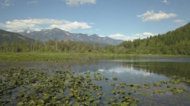 Pemberton, Bc, Kanada bir mil göl. Canlı bir güneşli gün boyunca alınan.