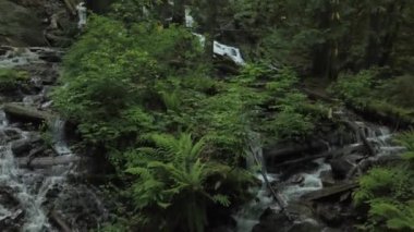 Havadan görünümü gelin Veil Falls. Alınan Chilliwack, East of Vancouver, Bc, Kanada.
