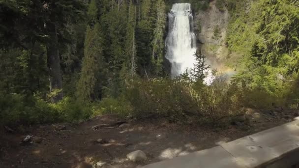 Vista Aérea Bela Cachoeira Alexander Falls Durante Dia Ensolarado Verão — Vídeo de Stock