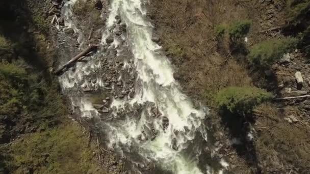 Vista Aérea Bela Cachoeira Alexander Falls Durante Dia Ensolarado Verão — Vídeo de Stock