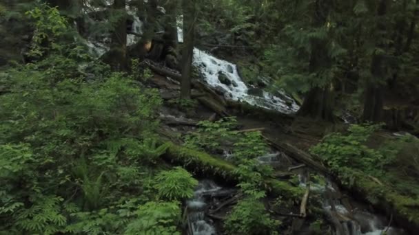 Letecký Pohled Bridal Veil Falls Vyfocené Poblíž Chilliwack Východně Vancouver — Stock video