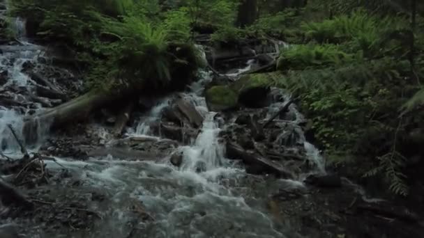 Luchtfoto Van Bridal Veil Falls Genomen Buurt Van Chilliwack Ten — Stockvideo