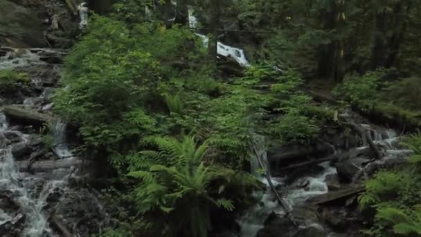 Luchtfoto Van Bridal Veil Falls Genomen Buurt Van Chilliwack Ten — Stockvideo