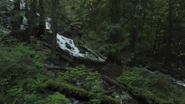 Veduta Aerea Bridal Veil Falls Preso Vicino Chilliwack Est Vancouver — Video Stock