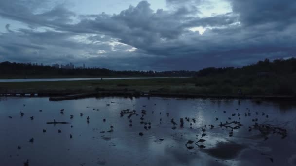 Luftaufnahme Des Burnaby Lake Bei Einem Markanten Und Bewölkten Sonnenuntergang — Stockvideo