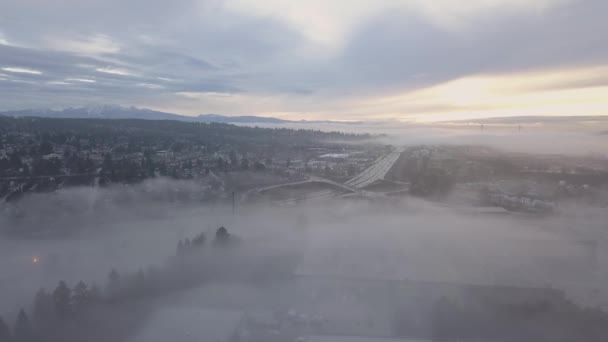 Εναέρια Άποψη Από Προάστια Της Πόλης Κατά Διάρκεια Μια Ομίχλη — Αρχείο Βίντεο