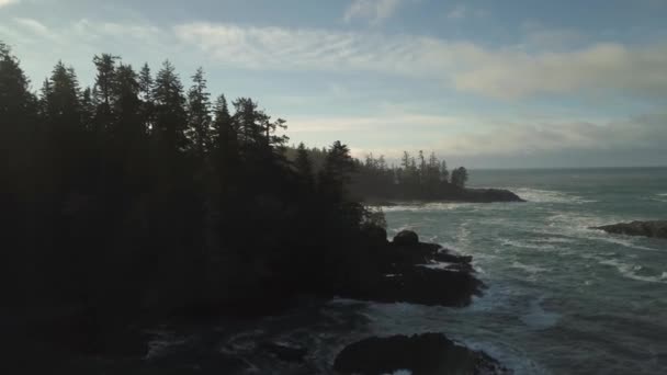 역동적인 태평양 연안에서 경치의 피노와 밴쿠버 아일랜드 브리티시 컬럼비아 캐나다에서 — 비디오