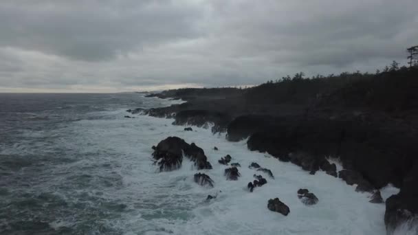 在一个充满活力的冬季日出期间 太平洋沿岸美丽海景的鸟瞰图 在加拿大不列颠哥伦比亚省温哥华岛托菲诺和乌克雷特附近拍摄 — 图库视频影像