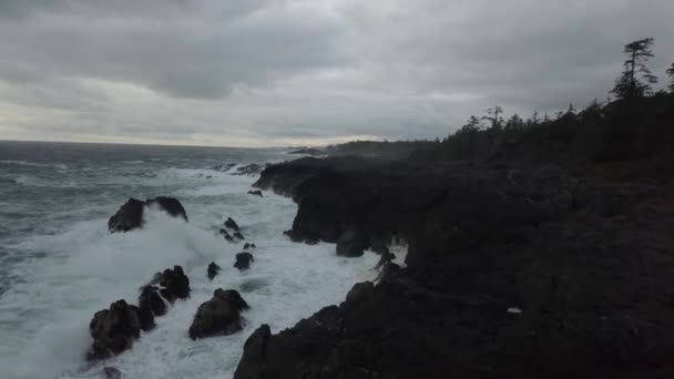 Güzel Deniz Manzarası Canlı Kış Gün Doğumu Sırasında Pasifik Okyanusu — Stok video