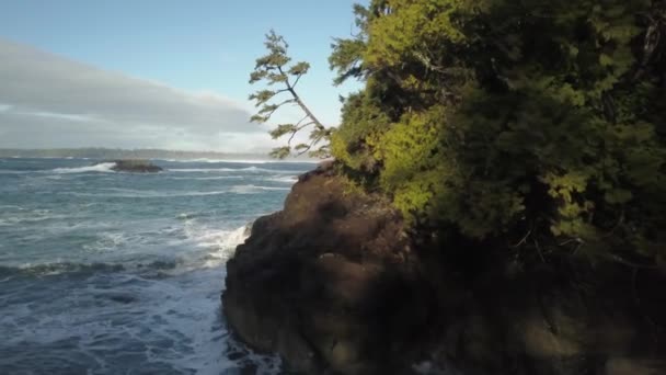 Aerial View Beautiful Seascape Pacific Ocean Coast Vibrant Winter Sunrise — Stock Video